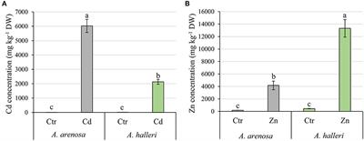 Toxic Effects of Cd and Zn on the Photosynthetic Apparatus of the Arabidopsis halleri and Arabidopsis arenosa Pseudo-Metallophytes